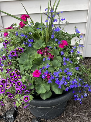 a decorative planter with a variety of brightly colored plants 