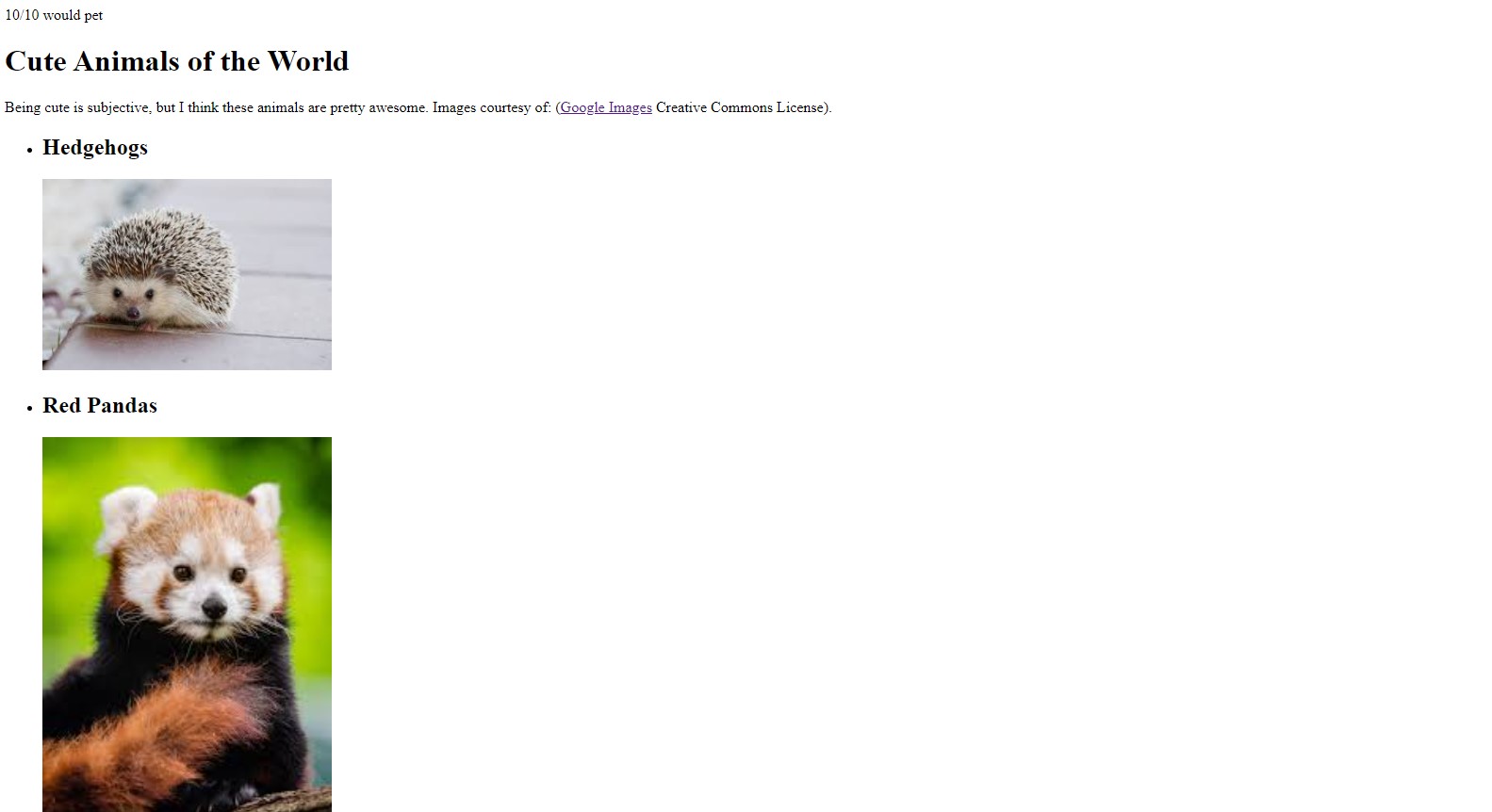 Screenshot of HTML Final Project